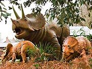 Dinosaur Adventure Park