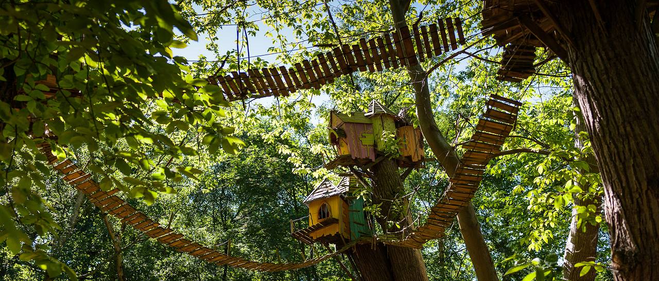 BeWilderwood - Treehouse Adventure Park
